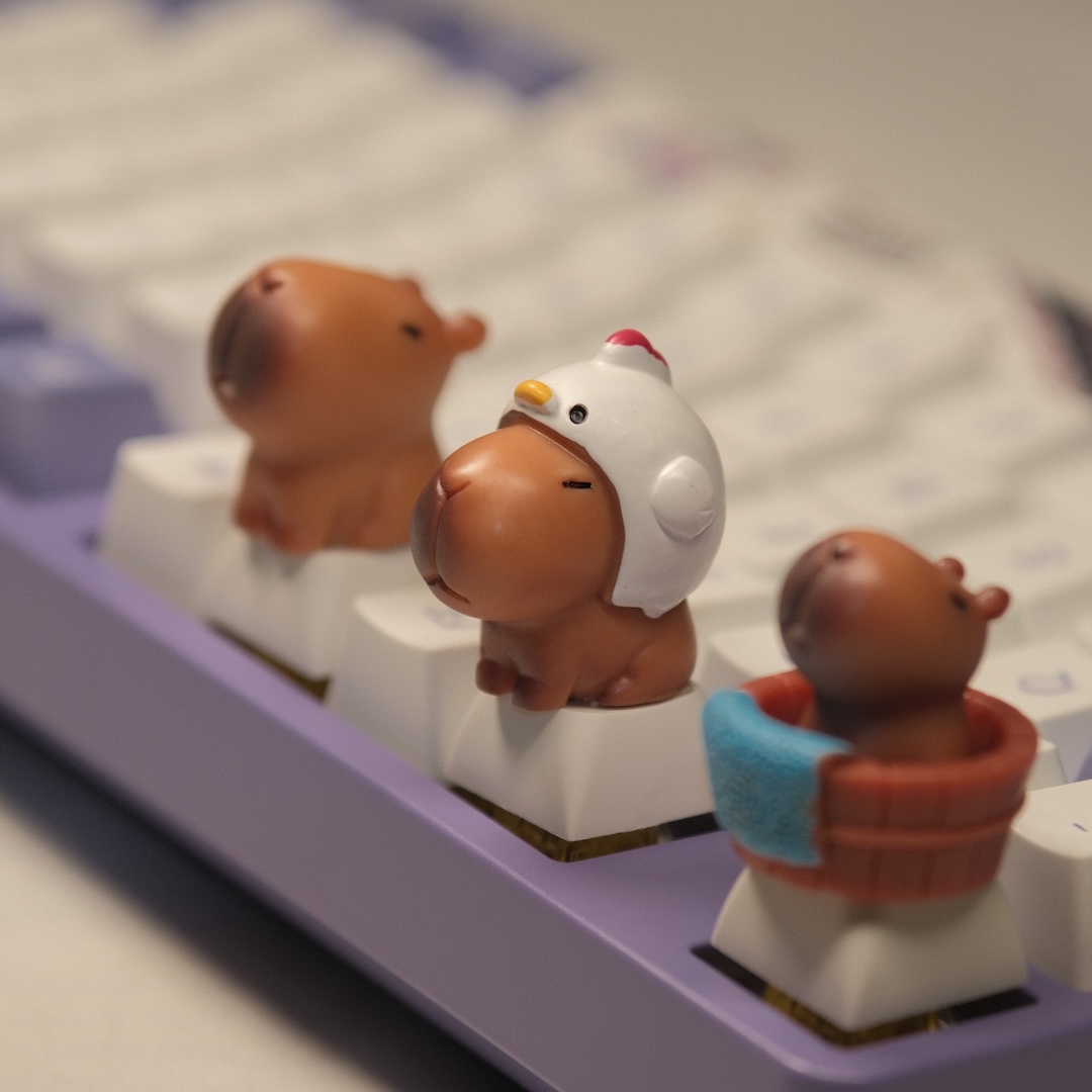 Cute Capybara Keycaps XDA Prof – обзор и цена Keyboard Tray Under Desk