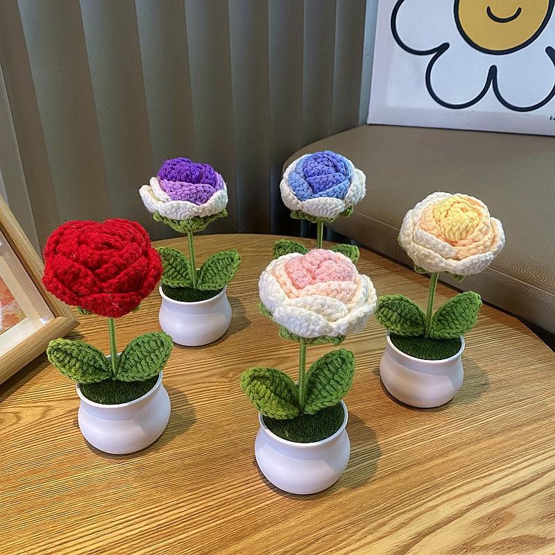 1/2/4Pcs DIY Handwoven Mini Po – обзор и цена Home Office Depot