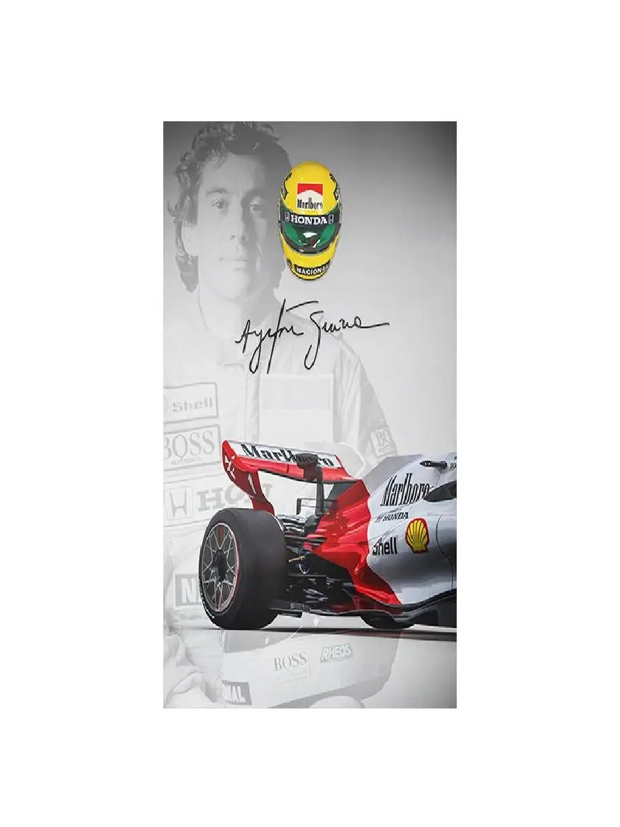 Ayrton Senna Grand Prix Racing – обзор и цена Home Office Icon