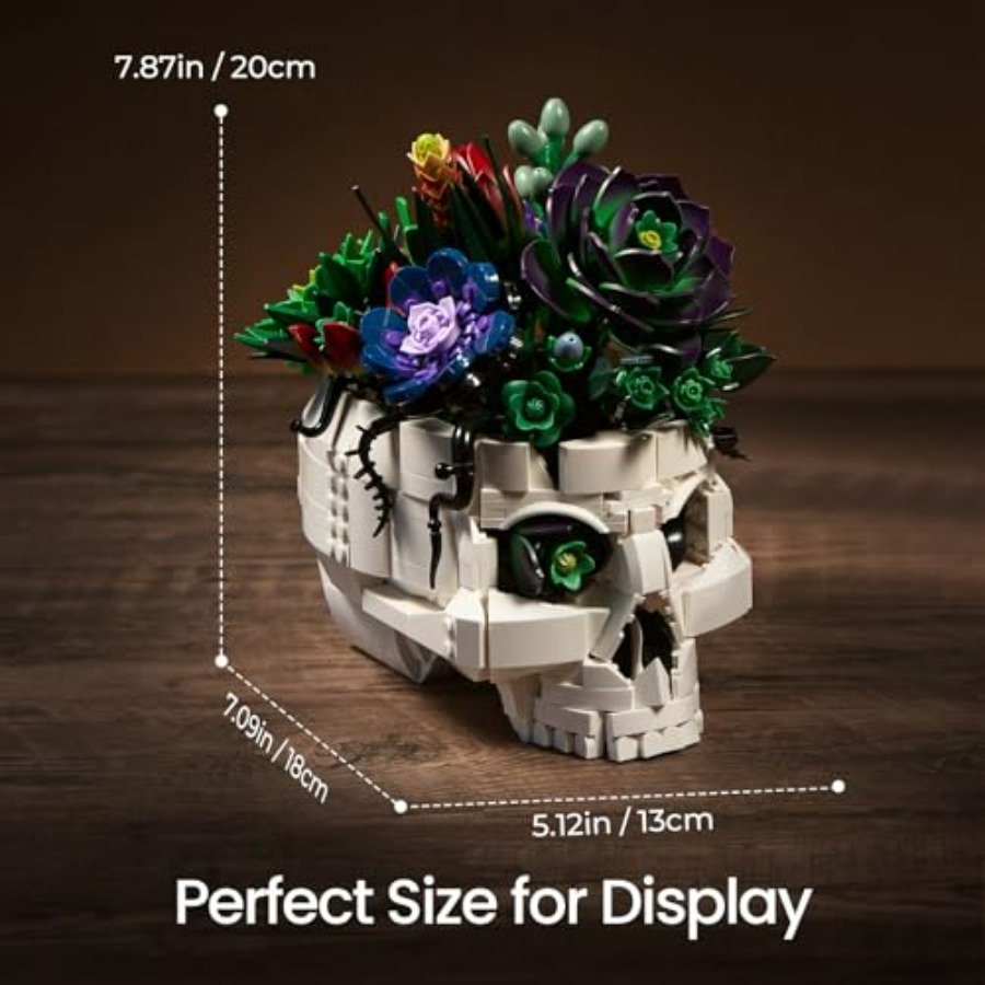 Succulent Skull Planter Buildi – обзор и цена Home Office Depot