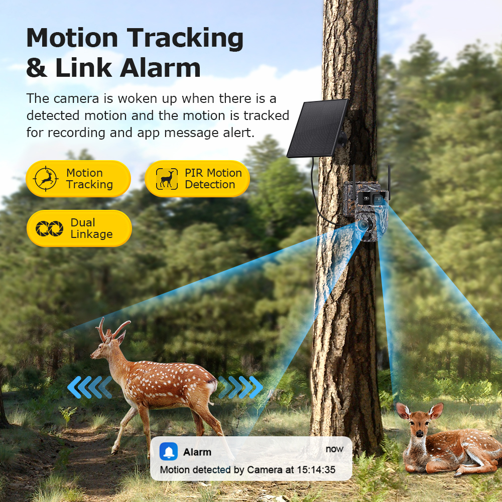 LS VISION 60X Zoom Trail Camer – обзор и цена Home Office Zoom