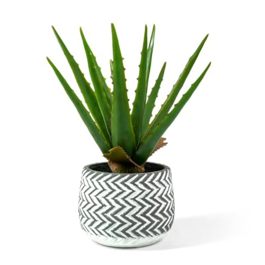 12 Artificial Aloe Vera Potted – обзор и цена Home Office Depot